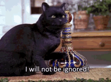 Ignored Will Not GIF - Ignored Will Not I Will Not Be Ignored GIFs