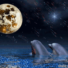 Dolphin Full Moon GIF - Dolphin Full Moon Ocean GIFs