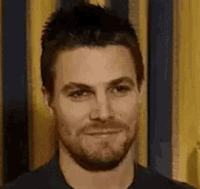 Stephen Amell Loliver GIF - Stephen Amell Loliver Lauriver GIFs