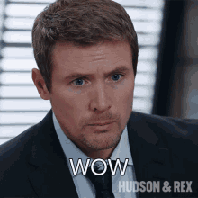 Wow Charlie Hudson GIF - Wow Charlie Hudson Hudson And Rex GIFs