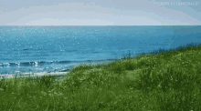Sea Nature GIF - Sea Nature Serenity GIFs