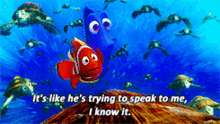 Nemo Its Like Hes Trying To Speak To Me GIF - Nemo Its Like Hes Trying To Speak To Me Finding Nemo GIFs