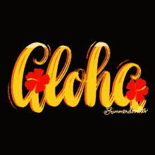 aloha hawaii hibiscus shimmerdoodles hawaiian aloha hawaii hibiscus shimmerdoodles hawaiian