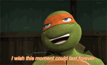 Tmnt I Wish This Moment Could Last Forever GIF - Tmnt I Wish This Moment Could Last Forever Michelangelo GIFs