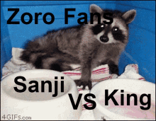 Zoro Fans Sanji Vs King GIF - Zoro Fans Sanji Vs King Raccoon GIFs