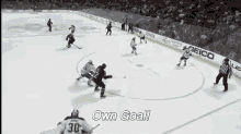 own hockey