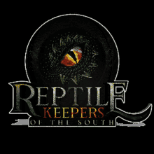 Reptile GIF - Reptile GIFs
