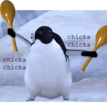 penguin dance happy