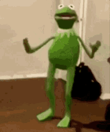 Kermit Dancing GIF - Kermit Dancing Slow Dancing GIFs