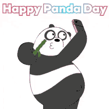 Panda Pandaday GIF - Panda Pandaday Selfie GIFs