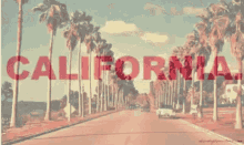 California Roleplay GIF - California Roleplay Usa GIFs