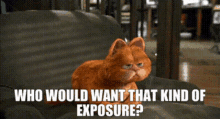 Garfield Who Would Want That Kind Of Exposure GIF - Garfield Who Would Want That Kind Of Exposure Exposure GIFs