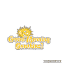 Good Morning Sunshine Sparkling GIF - Good Morning Sunshine Sun Sparkling GIFs