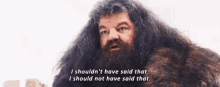 hagrid rubeus harry potter shouldnt have said that hagrid rubeus harry potter shouldnt have said that
