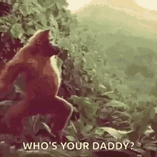 Come On Baby Big Daddy GIF - Come On Baby Big Daddy Daddy GIFs