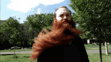 windy beard