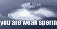 You Are Weak Sperm GIF - You Are Weak Sperm Weak Sperm GIFs
