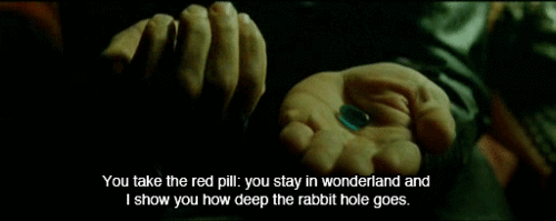 Go With The Decision That Will Make For A Good Story. GIF - Red Pill Green  - Discover & Share GIFs