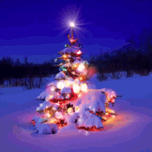 Xmas Tree Christmas Tree GIF - Xmas Tree Christmas Tree Fairy Lights Tree GIFs
