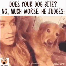 The Dog He Judges GIF - The Dog He Judges Judge GIFs