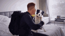 Dog Smooch The Pack GIF - Dog Smooch The Pack Border Collie GIFs