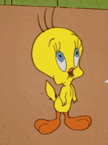 Looney Tunes Tweety GIF - Looney Tunes Tweety Happy GIFs