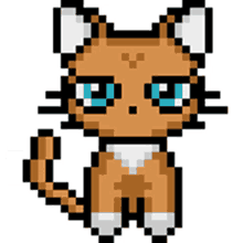 sweetragers cat pixelcat orangecat kitty