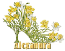 alexandra alexandra name shoe flowers girls name