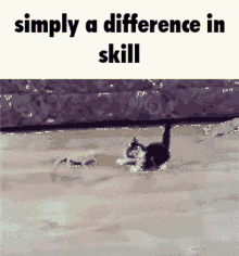 Skill Skill Issue GIF - Skill Skill Issue Simply A Difference In Skill GIFs