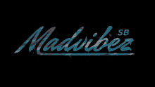 Madvibez Skateboarding GIF - Madvibez Skateboarding Sb GIFs