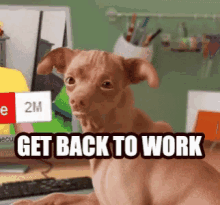 Get Back To Work Vacation Over GIF - Get Back To Work Vacation Over Phteven GIFs