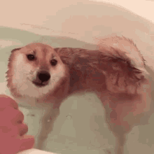 galaxy gifs