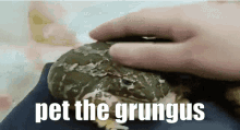 Grungus Grungus Discord GIF - Grungus Grungus Discord Frog GIFs