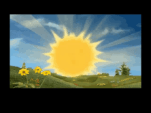Braden Sun GIF - Braden Sun GIFs