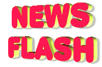 News Flash Sticker - News Flash Stickers