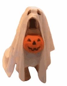 trick or treat halloween ghost dog costume ghost