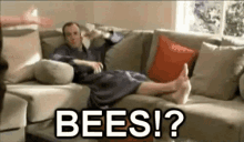 Will Arnett Bees GIF - Will Arnett Bees GIFs
