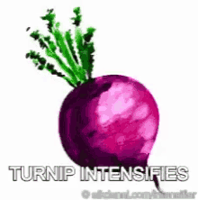 Turnip GIF - Turnip GIFs