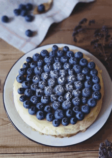 National Cheesecake Day Blueberry GIF - National Cheesecake Day Cheesecake Blueberry GIFs