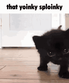 Yoinky Sploinky Cat GIF - Yoinky Sploinky Yoinky Sploinky GIFs