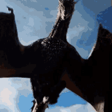 dragons dragons