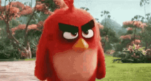 Mad Face GIF - Mad Face Angry GIFs