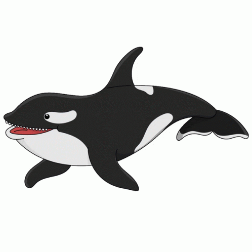 Whale Killer Whale Sticker - Whale Killer Whale Orca - Discover & Share ...