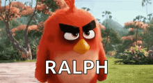 Angry Angry Birds GIF - Angry Angry Birds Bird GIFs