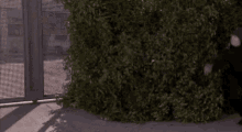 Stealth Mode GIF - Stealth Mode Sneaky GIFs