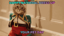 Dressed Cat Dress Up Your Pet Day GIF - Dressed Cat Dress Up Your Pet Day GIFs