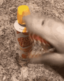 shark cheesy