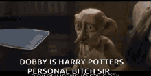 Dobby Harry Potter GIF - Dobby Harry Potter Personal Bitch GIFs