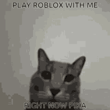 Pika Roblox GIF - Pika Roblox Cat GIFs