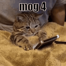 Mog Mog4 GIF - Mog Mog4 Rog GIFs